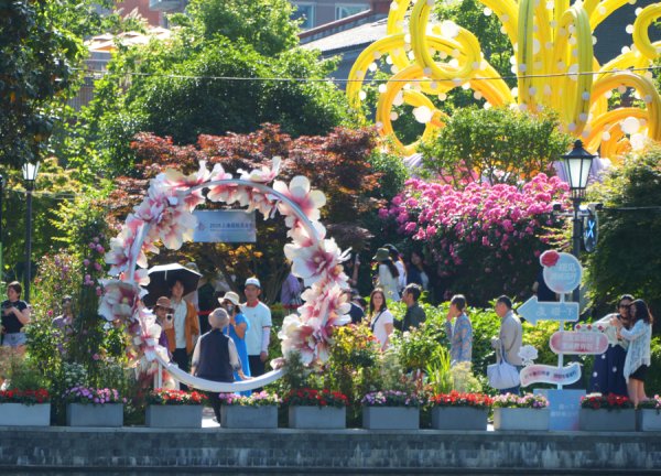 2950万人为花而来，商圈销售额超20亿元，花卉节如何改写城市春天？