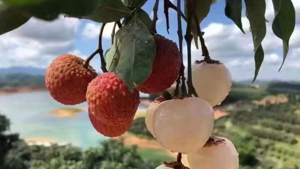 商业航天板块短线拉升
