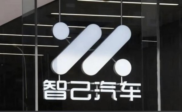 提车仅一个月，血亏9800元？智己LS8「背刺」首批车主，联名信怒怼：希望重视我们